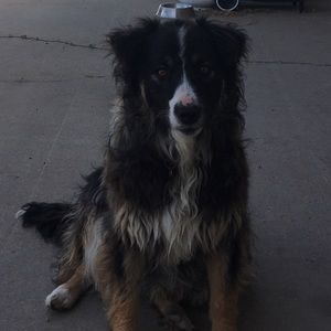 Meet your Posher, Stacey